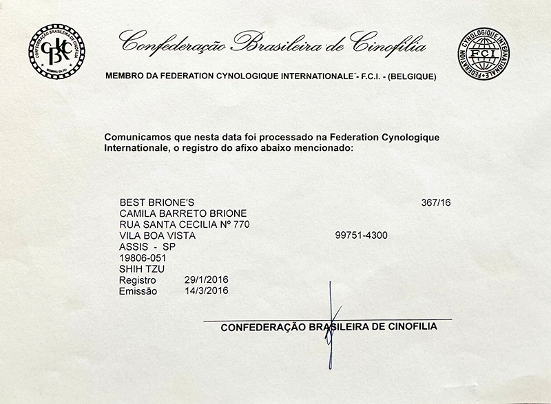 certificacao-canil-camila-brione