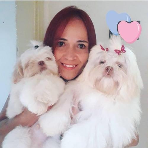 caes-canil-camila (51)