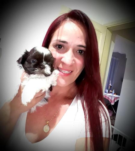 caes-canil-camila (53)