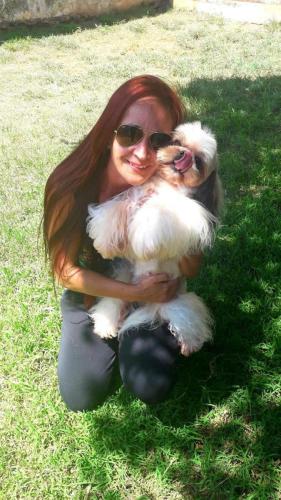 caes-canil-camila (54)